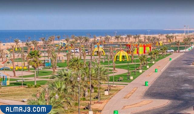 املج كم تبعد عن تبوك