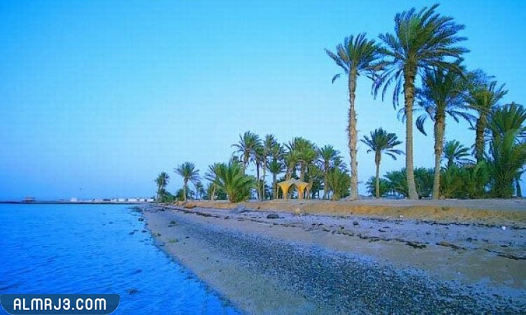 املج كم تبعد عن تبوك