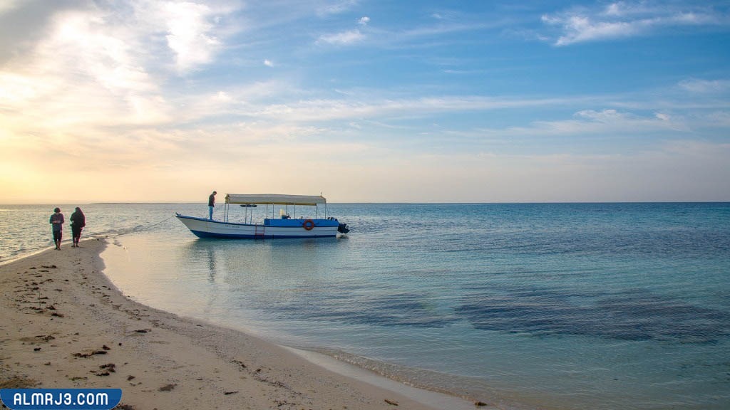 املج كم تبعد عن تبوك