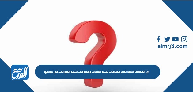 اي الممالك التاليه تضم مخلوقات تشبه النباتات ومخلوقات تشبه الحيوانات في خواصها