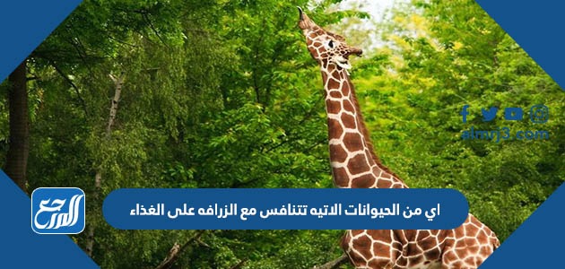 اي من الحيوانات الاتيه تتنافس مع الزرافه على الغذاء