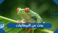 بحث عن البرمائيات وخصائصها كامل جاهز للطباعة