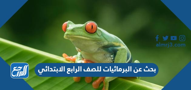 بحث عن البرمائيات للصف الرابع الابتدائي