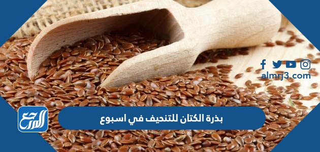 بذور الكتان للتنحيف في اسبوع