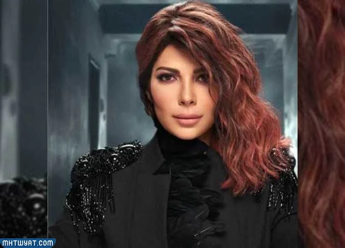 برنامج سعودي أيدول Saudi Idol ويكيبيديا