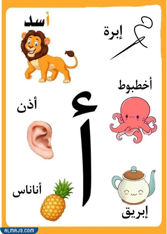بطاقات الحروف العربية مع الصور