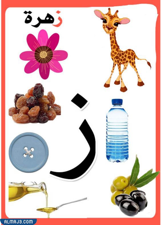 بطاقات الحروف العربية مع الصور