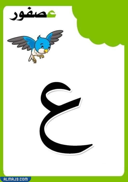 بطاقات الحروف العربية مع الصور