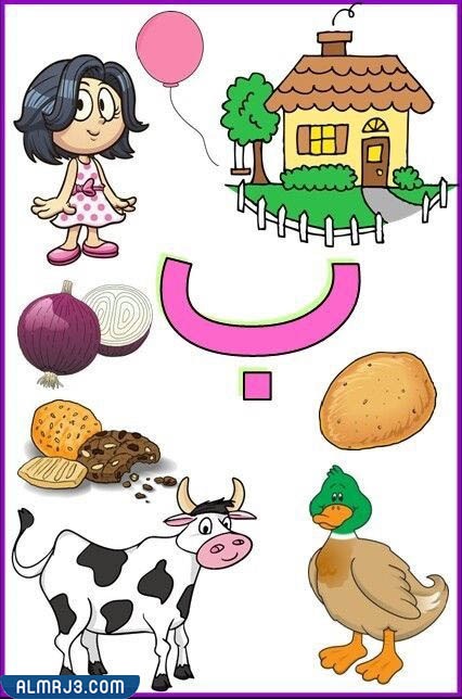 بطاقات الحروف العربية مع الصور