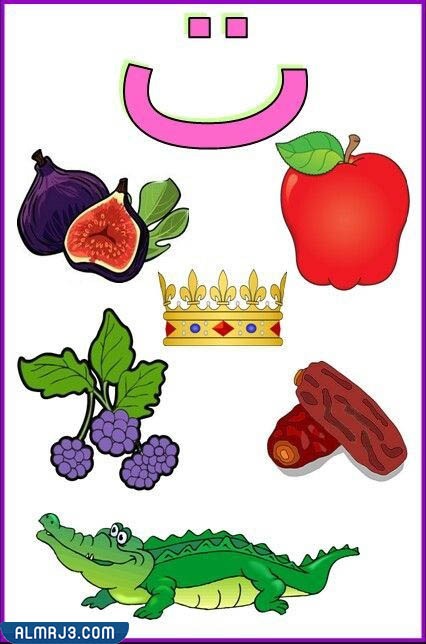 بطاقات الحروف العربية مع الصور