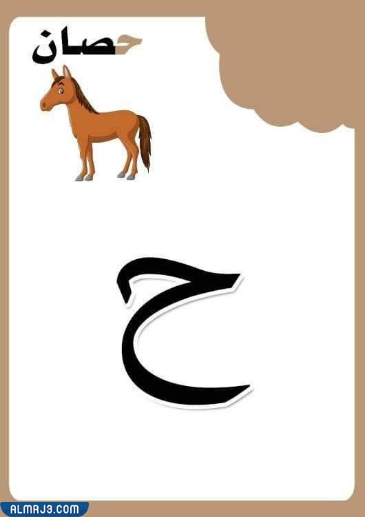 بطاقات الحروف العربية مع الصور