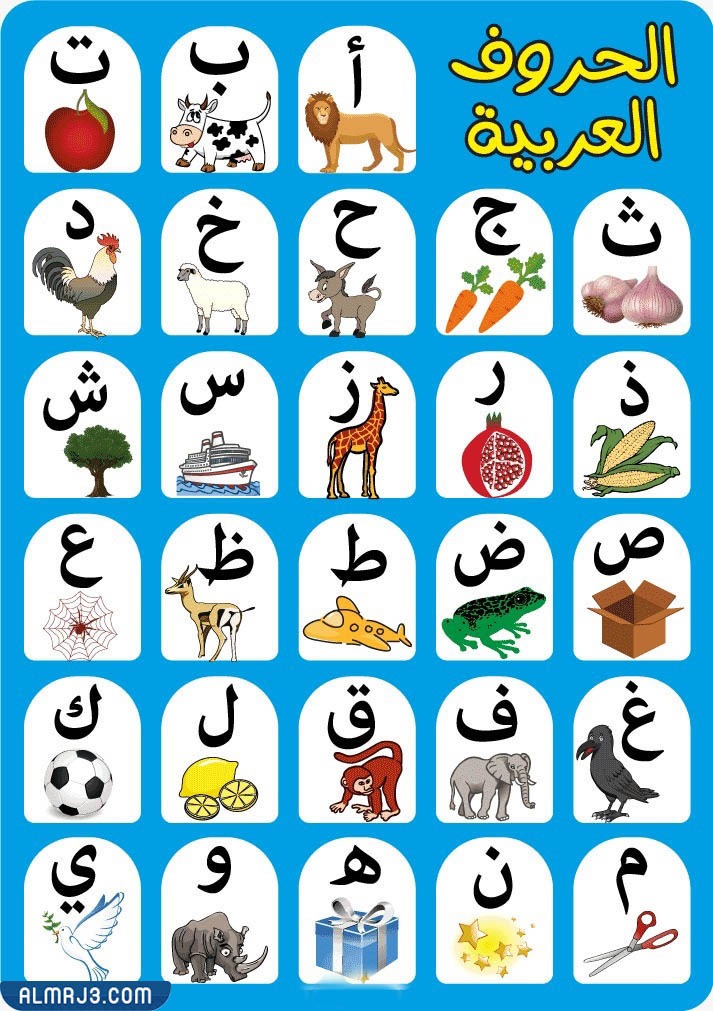 بطاقات الحروف الهجائية مع الصور
