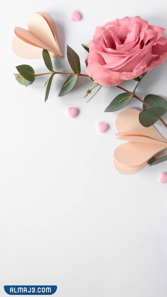 بطاقات دعوة زفاف فارغة للكتابة عليها