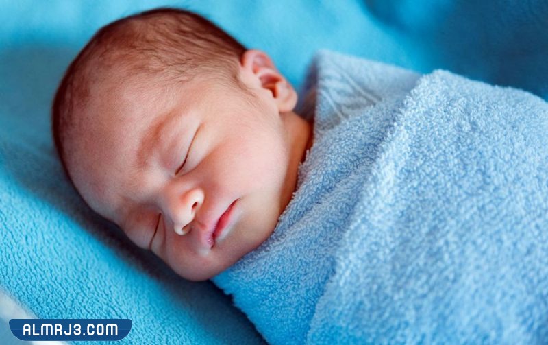 تجربتي للحمل بولد عن طريق الطعام