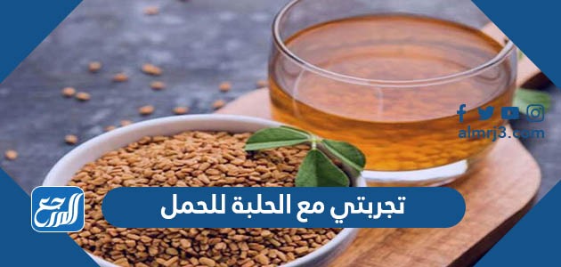 تجربتي مع الحلبة للحمل