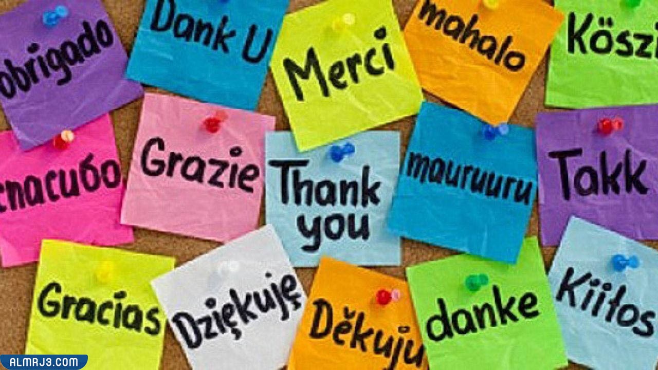 تعلم لغة جديدة