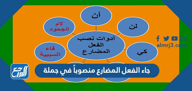 جاء الفعل المضارع منصوباً في جملة