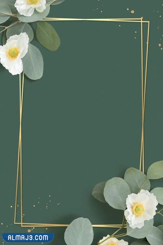 جاهزة للكتابة اطارات بطاقة دعوة فارغة للكتابة