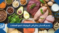 جسم الانسان يحتاج الى البروتينات لنمو العضلات واصلاحها وتنتج البروتينات صواب خطأ