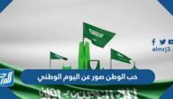 حب الوطن صور عن اليوم الوطني السعودي 95 ملهمة