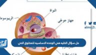 حل سؤال الخليه هي الوحده الاساسيه للمخلوق الحي