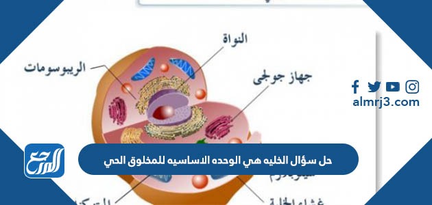 حل سؤال الخليه هي الوحده الاساسيه للمخلوق الحي
