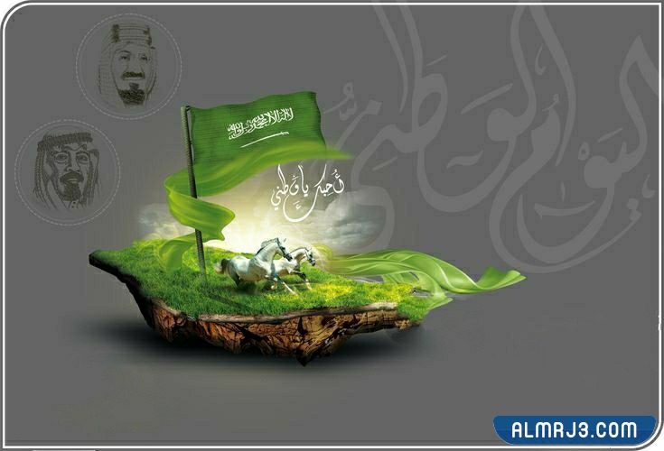 خلفيات اليوم الوطني السعودي 92