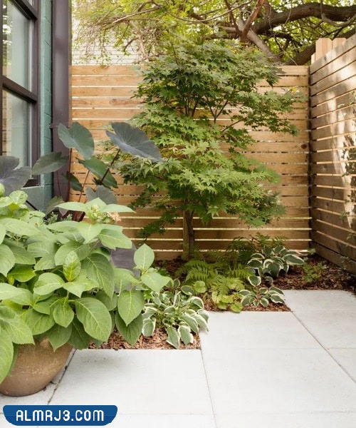 ديكورات حدائق خارجية 2023