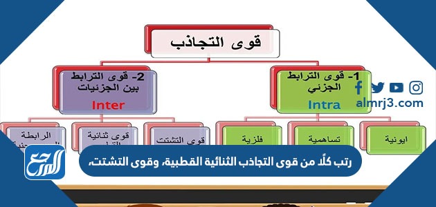 رتب كلًا من قوى التجاذب الثنائية القطبية، وقوى التشتت، والروابط الهيدروجينية تصاعديًا حسب قوتها.