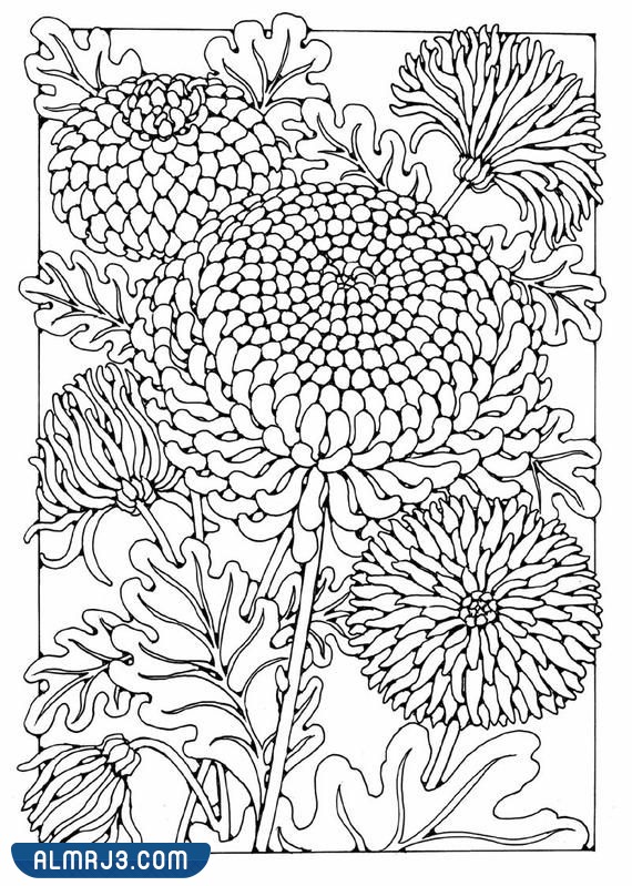 رسومات أطفال للتلوين عن يوم التخضير