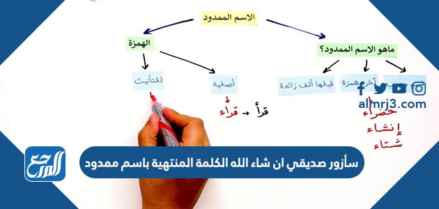 سأزور صديقي ان شاء الله الكلمة المنتهية باسم ممدود