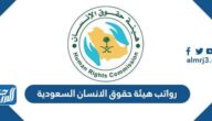سلم رواتب هيئة حقوق الانسان السعودية 1446 مع البدلات
