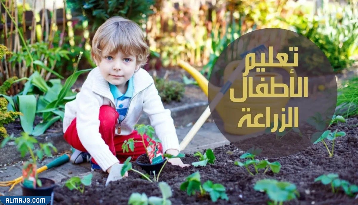 صور أفكار ليوم التخضير في الكويت 2022