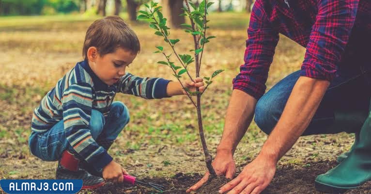 صور أفكار ليوم التخضير في الكويت 2022