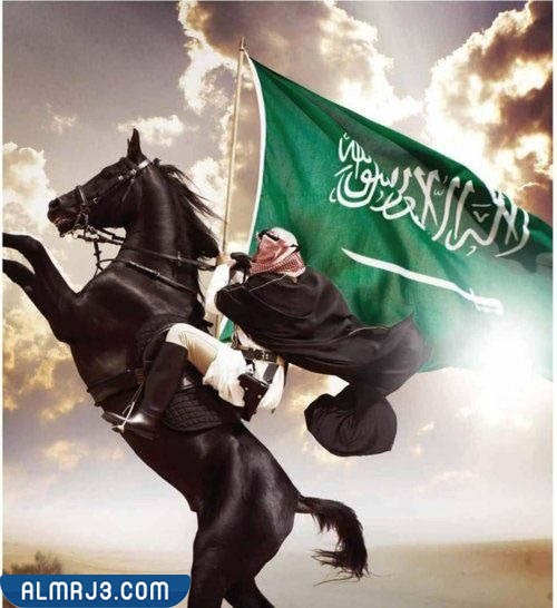 صور علم اليوم الوطني السعودي 92