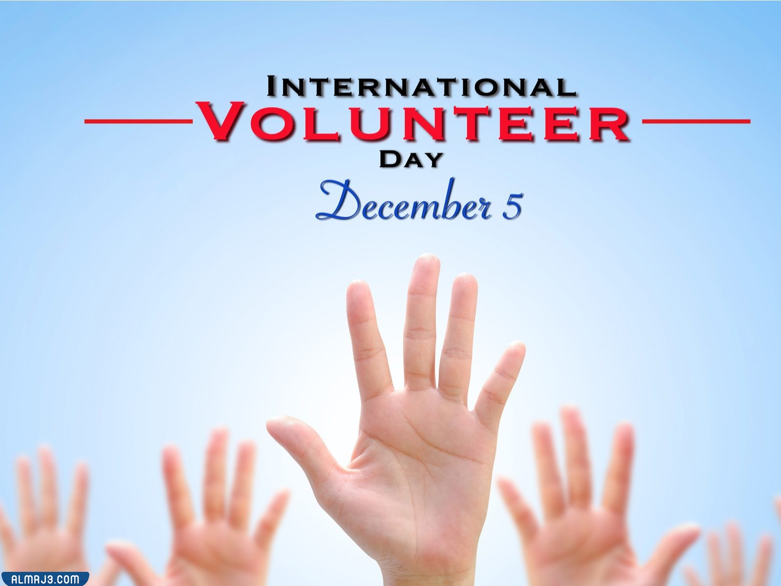 صور عن اليوم العالمي للتطوع