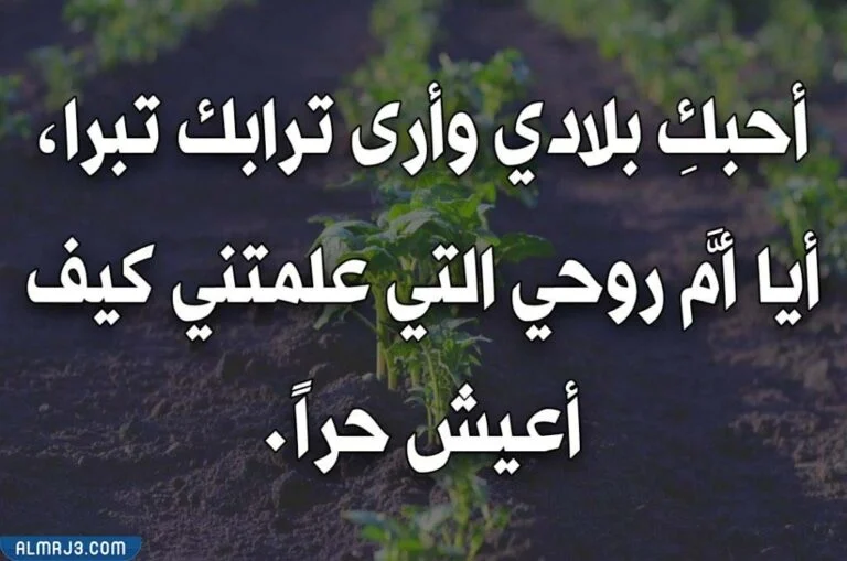 صور لحكم مكتوبة عن اليوم الوطني