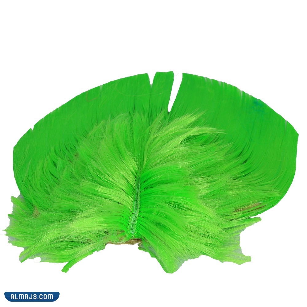 صور وتصاميم كدش اليوم الوطني 92