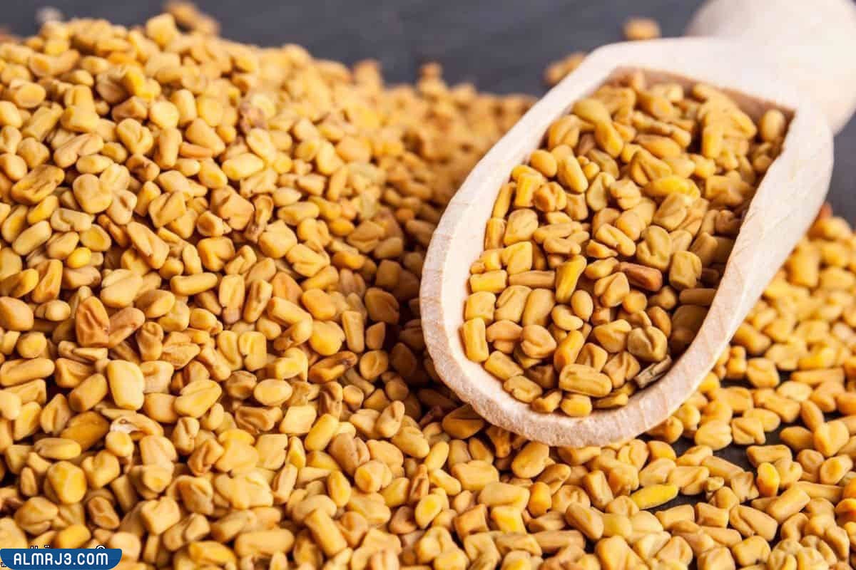 طريقة تناول الحلبة لحل مشكلات تأخر الحمل 