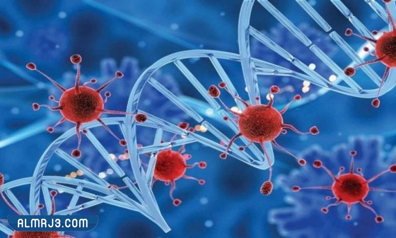 طرق منع انتقال الأمراض السرطانية 