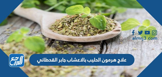 علاج هرمون الحليب بالاعشاب جابر القحطاني