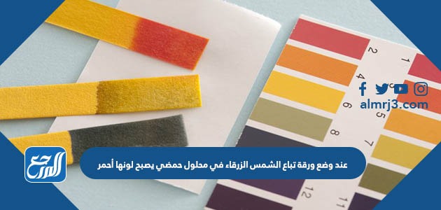 عند وضع ورقة تباع الشمس الزرقاء في محلول حمضي يصبح لونها أحمر