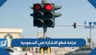 كم غرامة قطع الاشارة في السعودية 1447