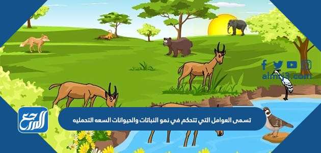 أي ظروف الطقس القاسية لا تحدث في فصل الصيف