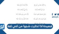 قصيدة اذا تذكرت شجوا من اخي ثقة مكتوبة