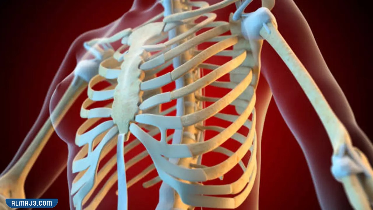 التهاب المرارة