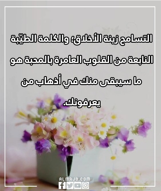 صور لكلمات مكتوبة عن التّسامح وصـفاء القلوب