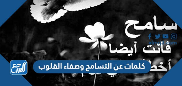 كلمات عن التسامح وصفاء القلوب