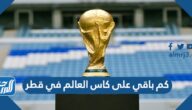 كم باقي على كاس العالم في قطر 2022 العد التنازلي كم باقي على كاس العالم في قطر 2022 العد التنازلي