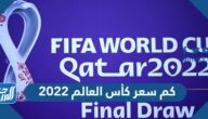 كم سعر كأس العالم 2022 كم سعر كأس العالم 2022